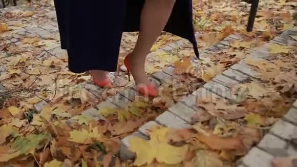 秋天优雅的女商人爬楼梯视频的预览图