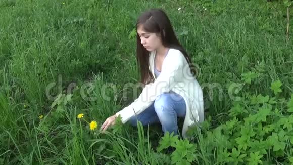 女孩摘了一朵蒲公英花在草地上嗅着春天美丽的微笑少年与春天公园视频的预览图