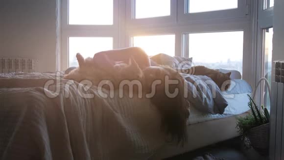 美丽浪漫的黑发女子躺在靠窗的床上与她可爱的猫在惊人的日落视频的预览图