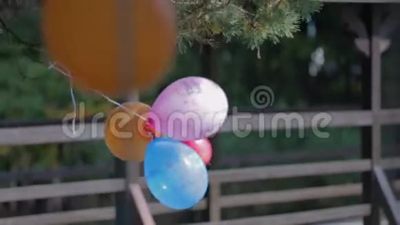派对气球在树上视频的预览图