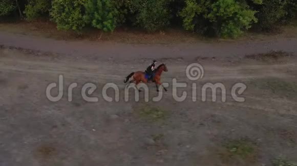 从妇女骑着一匹棕马在户外驰骋的高度来看视频的预览图