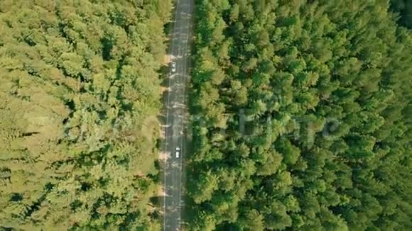 空中无人机在森林道路上射击无人机飞过马路汽车视频的预览图