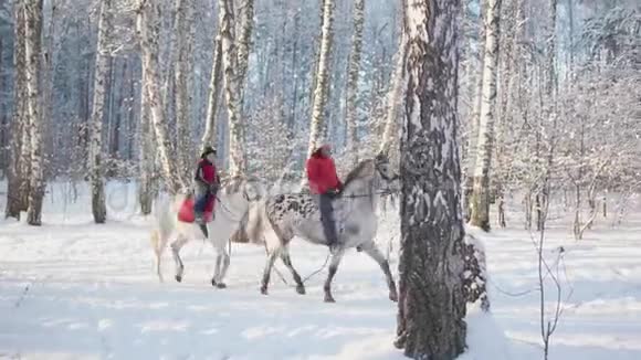 家人在冬季公园骑马散步骑马在新鲜空气中行走视频的预览图