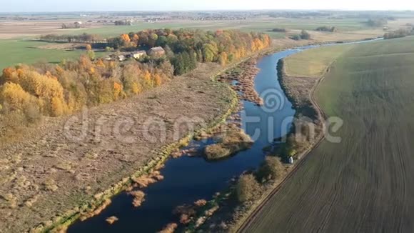 秋天的河流金色树林和房屋的田野空中视频的预览图