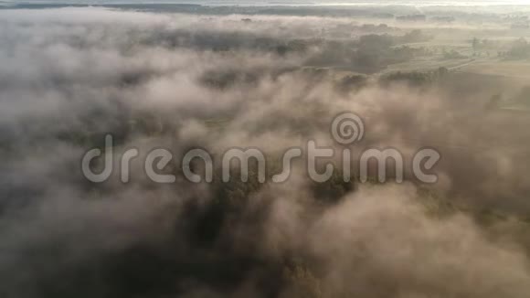 农场和树林上方的雾云日出时间空中视频的预览图