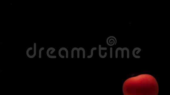 一个红番茄躺在黑色背景的透明水下视频的预览图