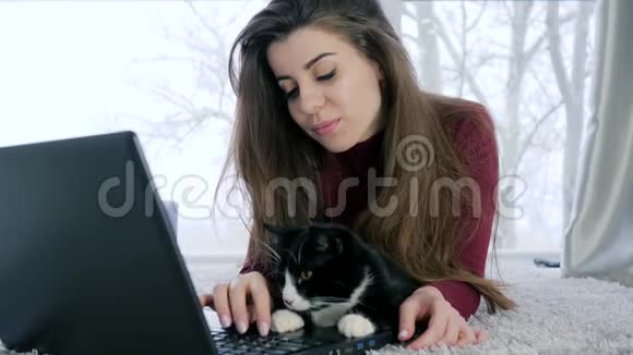 在网上聊天漂亮的女士在笔记本电脑前带宠物视频的预览图