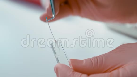 在实验室检查玻璃样品时关闭清洗和整形牙根罐视频的预览图