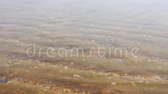 泰国芭堤雅海滩海水涟漪视频的预览图