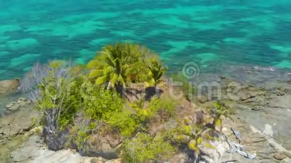 在巴拉巴茨巴拉瓦恩带棕榈树和珊瑚参考的热带小岛的空中景色视频的预览图