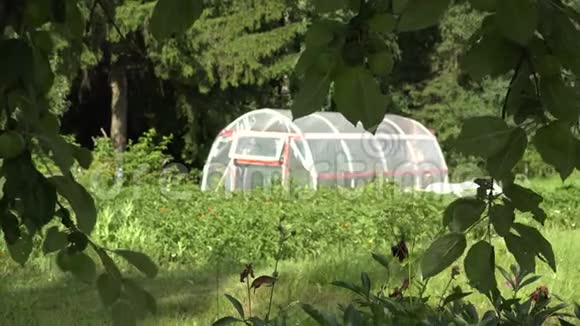 苹果树之间乡村生物农场的乡村温室4K视频的预览图