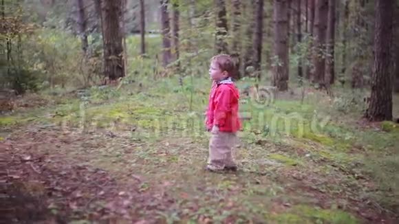 可爱的小男孩独自在森林里散步去探险视频的预览图