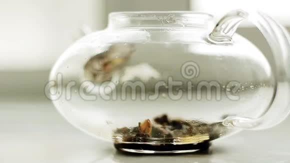 在玻璃茶壶里泡茶视频的预览图