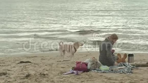 一个穿着外套的年轻女子坐在河边的海滩上大海野餐一只棕色的狗在附近玩耍寒冷的天气视频的预览图