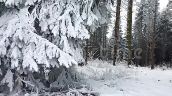 德国索兰温特伯格山脉的白雪森林风光广受欢迎和美丽的旅游目的地视频的预览图