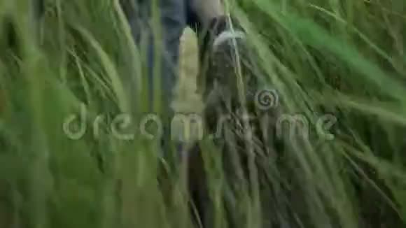 年轻的美女穿着鞋子在草地上散步带着绿草的大自然慢镜头视频的预览图