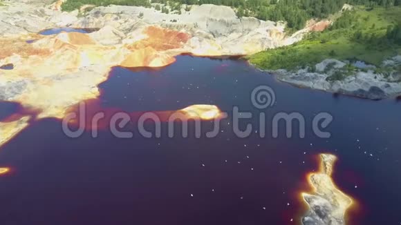 鸟飞过泥坑湖蓝色水面视频的预览图