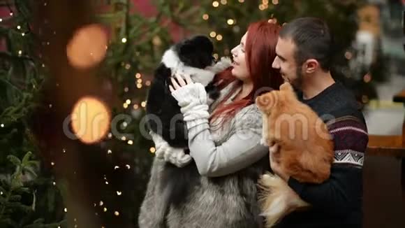 年轻夫妇在圣诞节的时候在户外玩他们抱着可爱的狗新年快乐概念视频的预览图