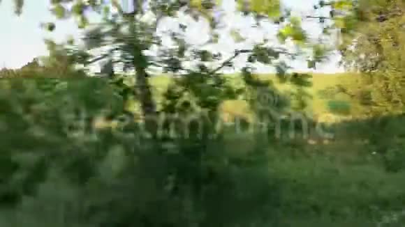 从火车穿过草地观看视频的预览图