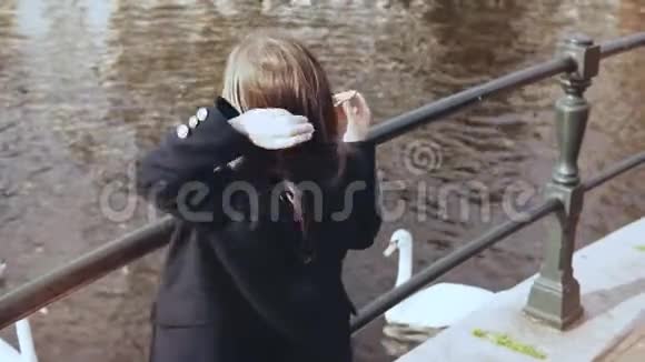 小女孩在水边喂天鹅和海鸥小女孩子在秋河码头喂水鸟后景视频的预览图