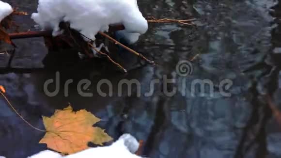 深秋一片落下来的黄色枫叶在小溪里视频的预览图