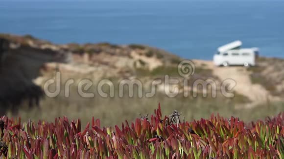 大西洋海岸悬崖上一辆老式野营车前的植物视频的预览图