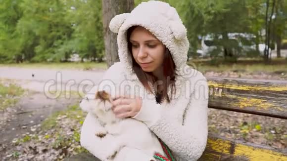 秋天坐在长凳上的女孩和狗视频的预览图