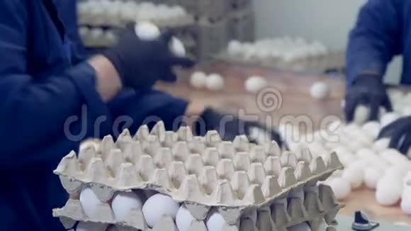 工厂员工正在一家家禽养殖场将白蛋包装成纸箱托盘视频的预览图