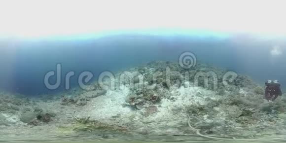 360名潜水者在珊瑚礁边缘游泳视频的预览图