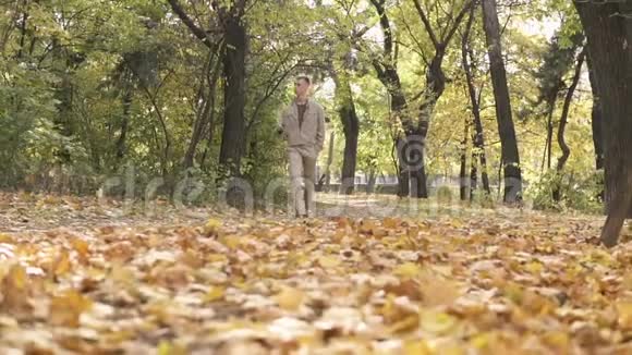 年轻的街头流浪男子戴着墨镜在秋天公园散步踢着成堆的黄枫叶视频的预览图