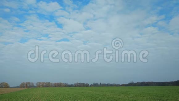 时间流逝一片阴云和一片绿野背景下的秋树视频的预览图