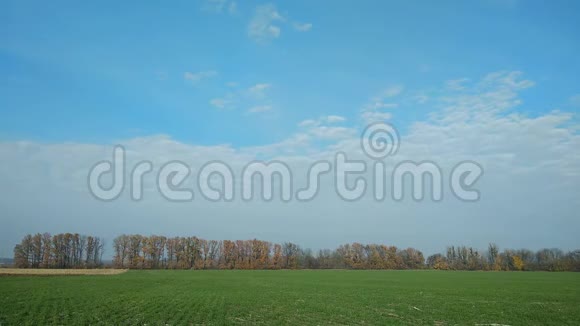 4K时间间隔一片阴云和一片绿野背景下的秋树视频的预览图