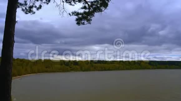 时间流逝云移过湖岸的背景树在前景的风中摇曳悲伤视频的预览图