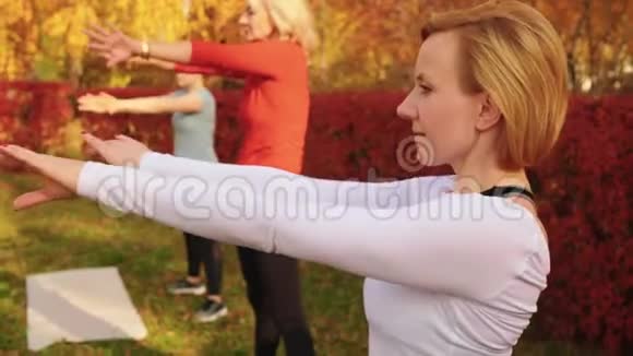 健身女性在秋季公园训练户外健身房锻炼在秋季公园练习户外健身的运动女子瑜伽视频的预览图