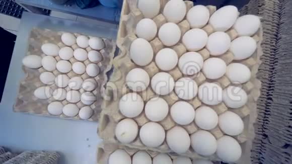 鸡蛋被一个工厂工人放进纸箱托盘里家禽养殖场的新鲜鸡蛋视频的预览图