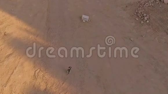 迷醉的女孩穿过沙漠走向白色的钢琴一个奇怪的梦空中观景视频的预览图