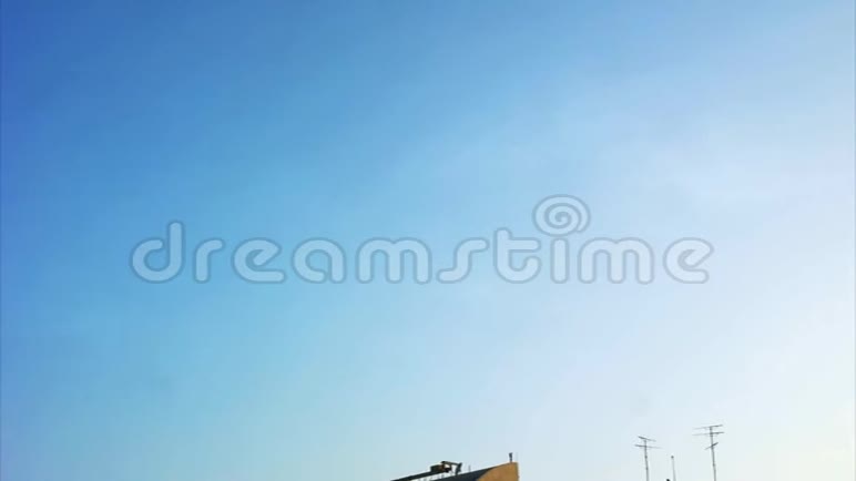 阿布扎比城市阳台鸟飞花飞视频的预览图