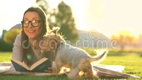 戴眼镜的女孩在公园里躺在毯子上看书小狗到处跑到处玩视频的预览图
