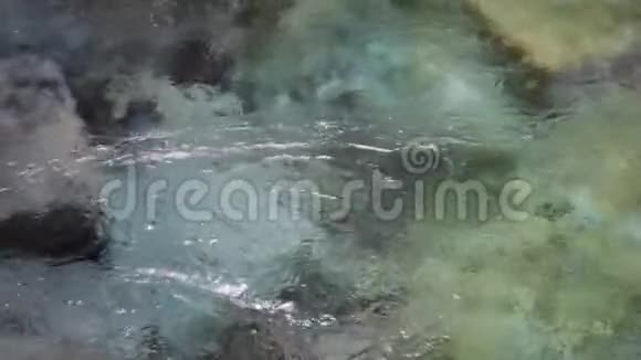 淡水里面的地下泉水视频的预览图