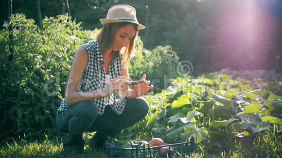 农民妇女在花园里用手机拍照收获蔬菜视频的预览图