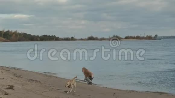 穿暖和衣服的卷发女孩到处跑在海滩上和一只棕色的狗玩耍一只狗拉着棍子出来视频的预览图