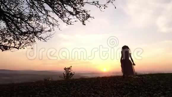 日落时三个小女孩在靠近树的草地上奔跑的剪影视频的预览图