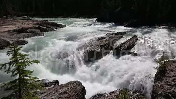 马河上的瀑布视频的预览图