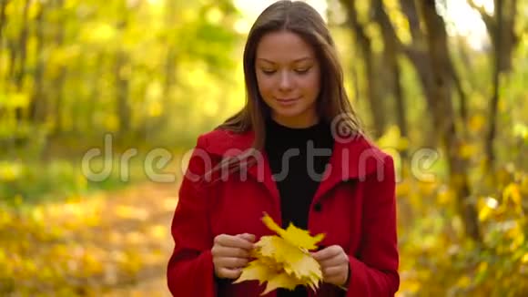 美丽的女孩走在秋天的森林里享受着好天气慢动作视频的预览图