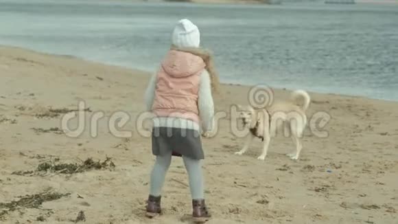 穿暖和衣服的卷发女孩跑步在海滩上和一只棕色的狗玩喂她狗吃了一顿饭视频的预览图