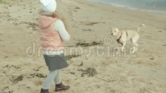 穿暖和衣服的卷发女孩跑步在海滩上和一只棕色的狗玩喂她狗吃了一顿饭视频的预览图