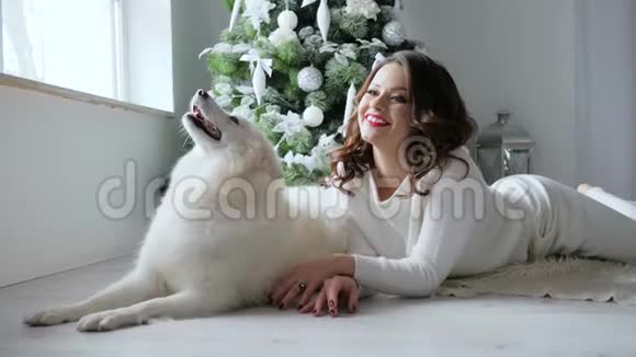 圣诞节白色的狗在圣诞树附近的舒适氛围中拍照摆在主人身边视频的预览图
