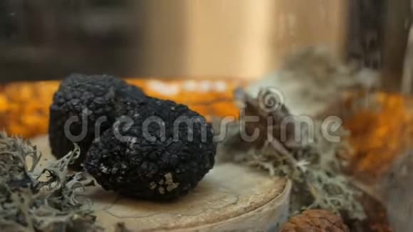 昂贵的稀有黑松露蘑菇视频的预览图