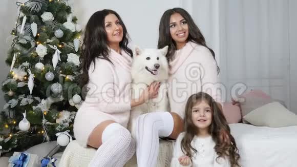 圣诞节一家人在圣诞树背景上与狗合影留念视频的预览图
