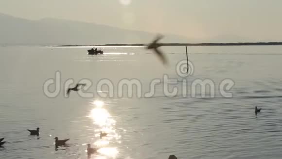 渔船去爱琴海捕鱼视频的预览图